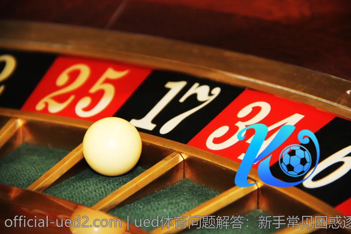 ued体育问题解答:新手常见困惑逐一击破