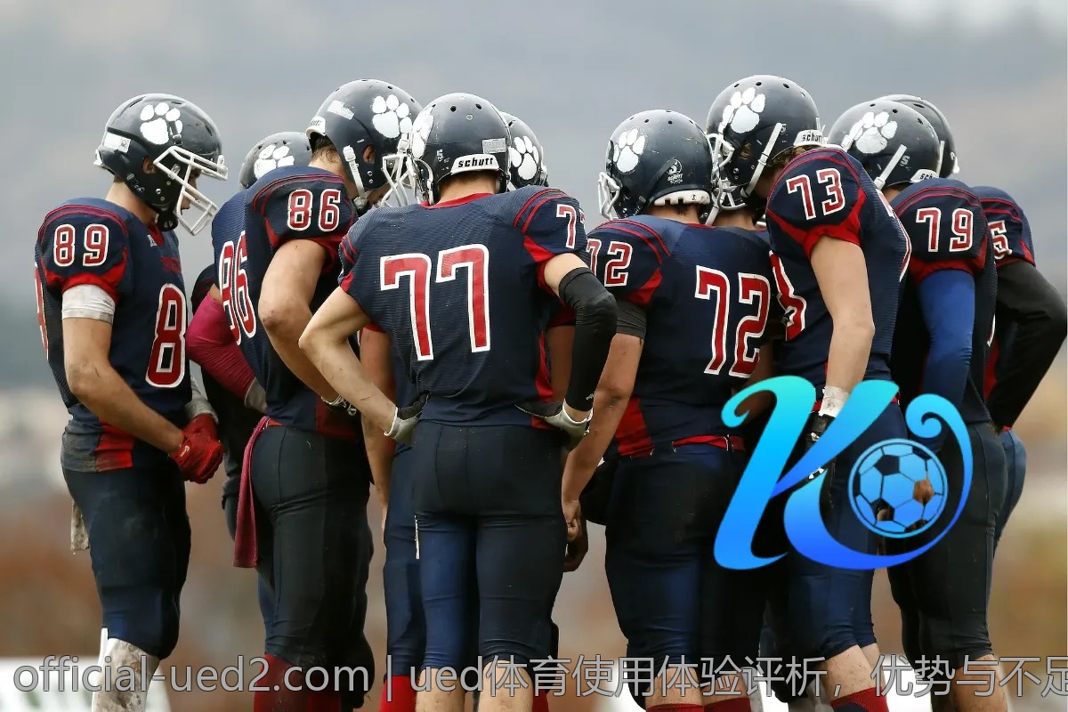 ued体育使用体验评析，优势与不足总览
