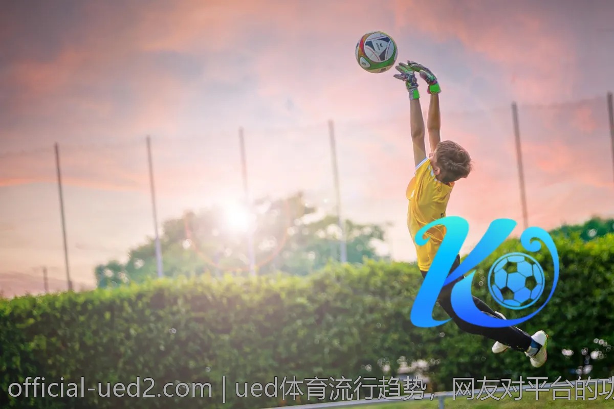 ued体育流行趋势,网友对平台的功能讨论