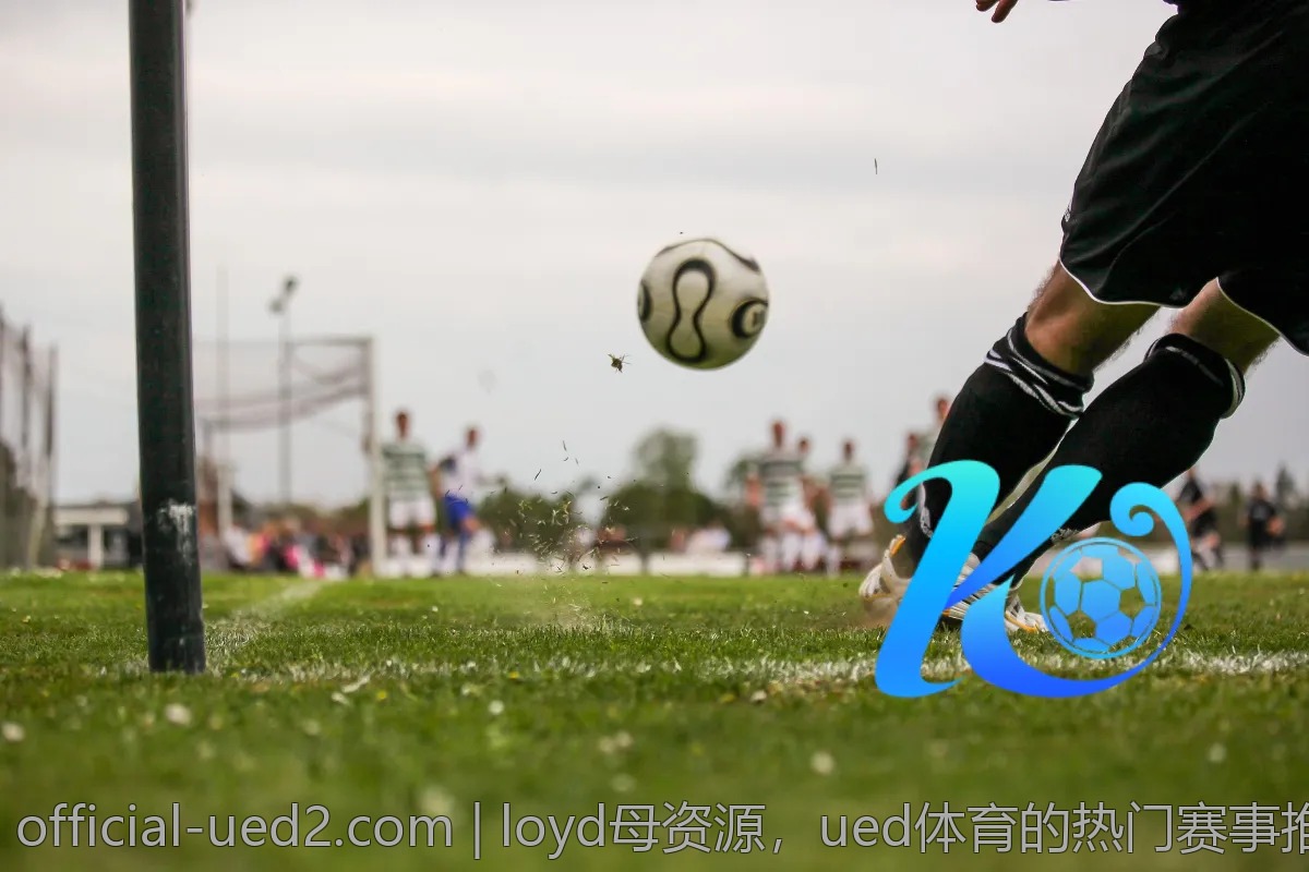 loyd母资源,ued体育的热门赛事推荐